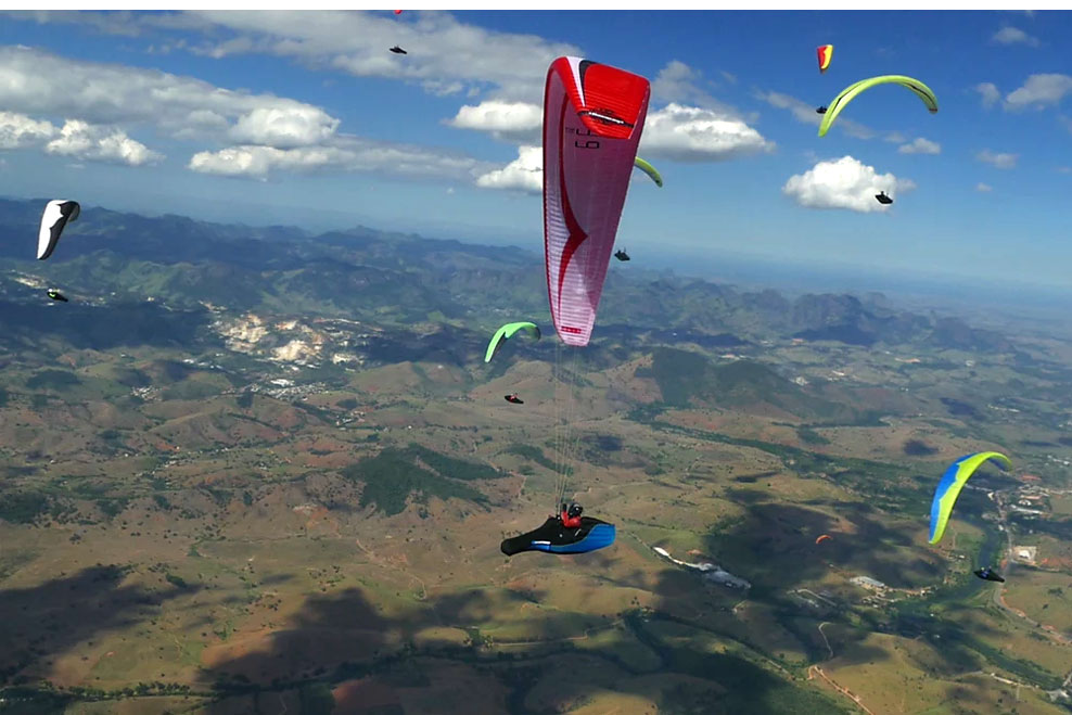 Nearbirds Genesis - obrazek 7