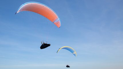 tripleseven rook 4 07