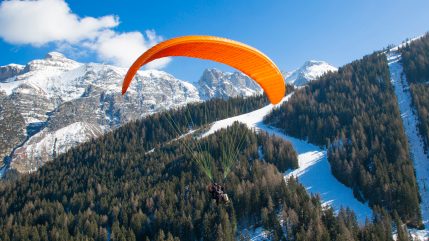 tripleseven bishop 03