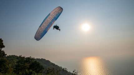 supair leaf3 light 01