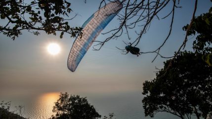 supair leaf3 light 02