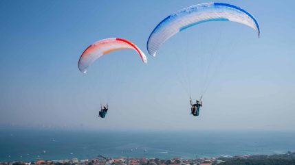 supair leaf3 light 03