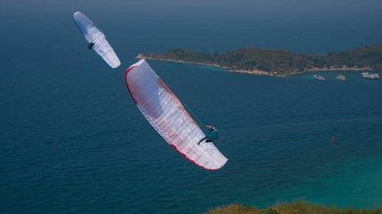 supair leaf3 light 05