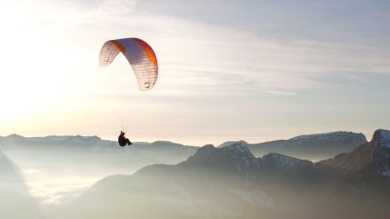 supair leaf3 light 08