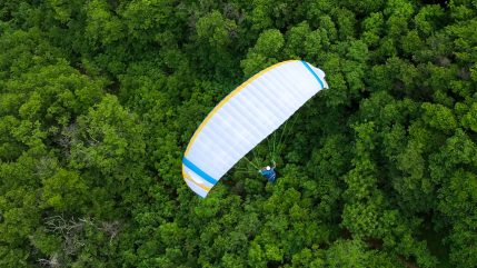 tripleseven mlight 04