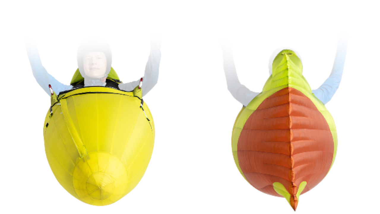 nearbirds atacams 03