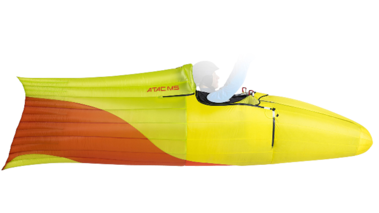 nearbirds atacams 04